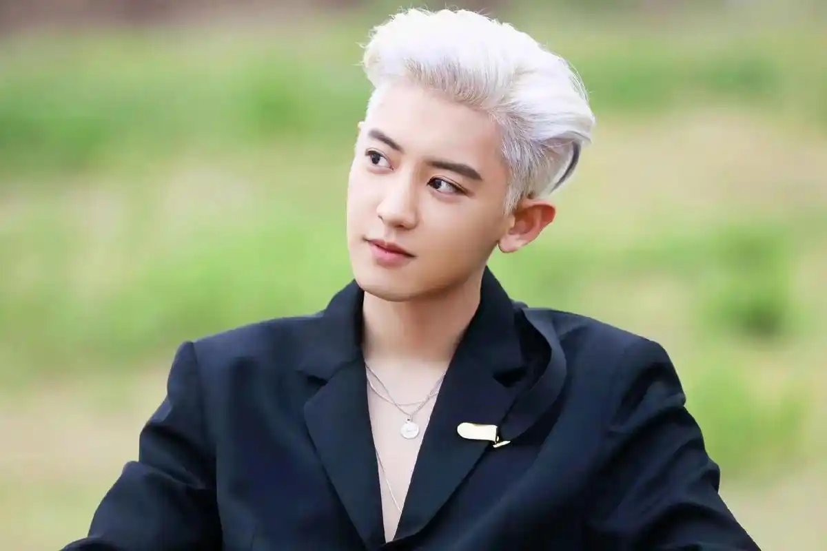 朴灿烈 银发 背头 朴灿烈永远帅出新高度 #exo#壁纸 - 抖音