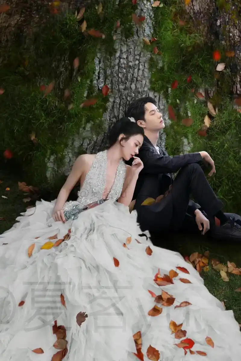 王一博赵丽颖 #运费夫妇 #王一博 #赵丽颖 要图的来拿, - 抖音