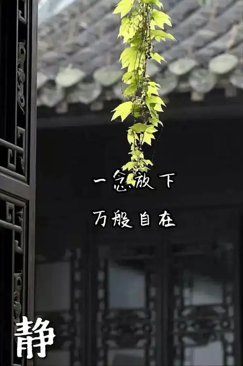 一念放下 万念皆空