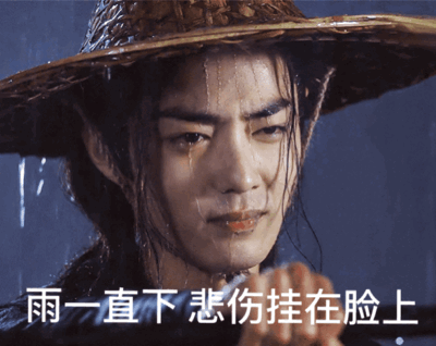 肖战表情包动图