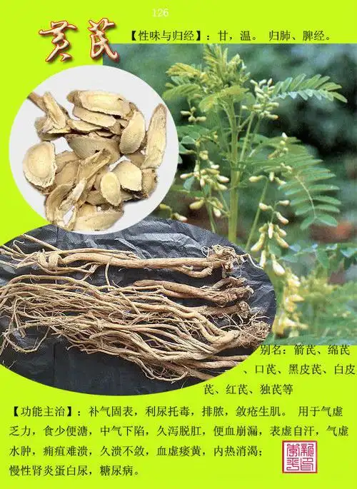 【转载】中草药300种图谱