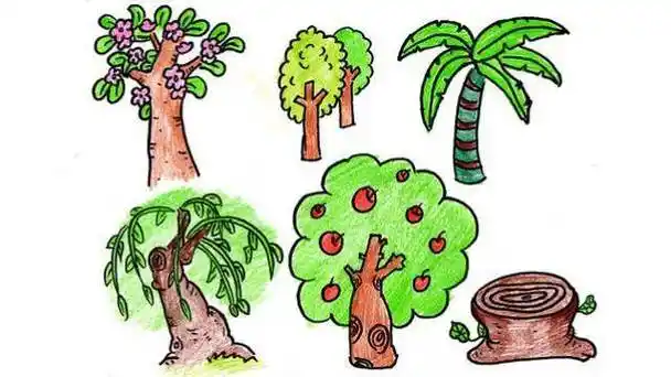 了解更多橘子树简笔画,橘子树简笔画图片带颜色,桔子树简笔画图片大全