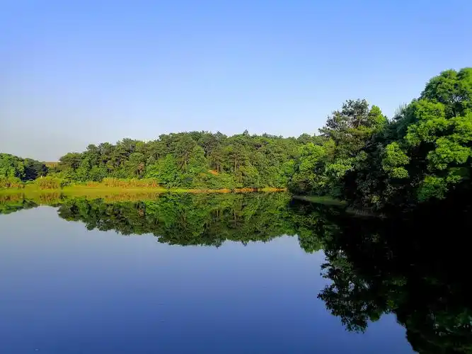 身边的风景身边的美丽身边的感动大自然的语言高深莫测