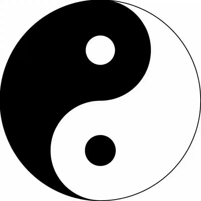 太极图传递的其中一层含义就是物极必反.