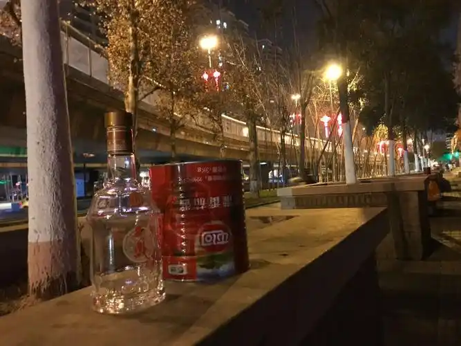 晚上捂着口罩散步,看到一只为丢烟头设置的小垃圾罐旁蹲着一支空酒瓶