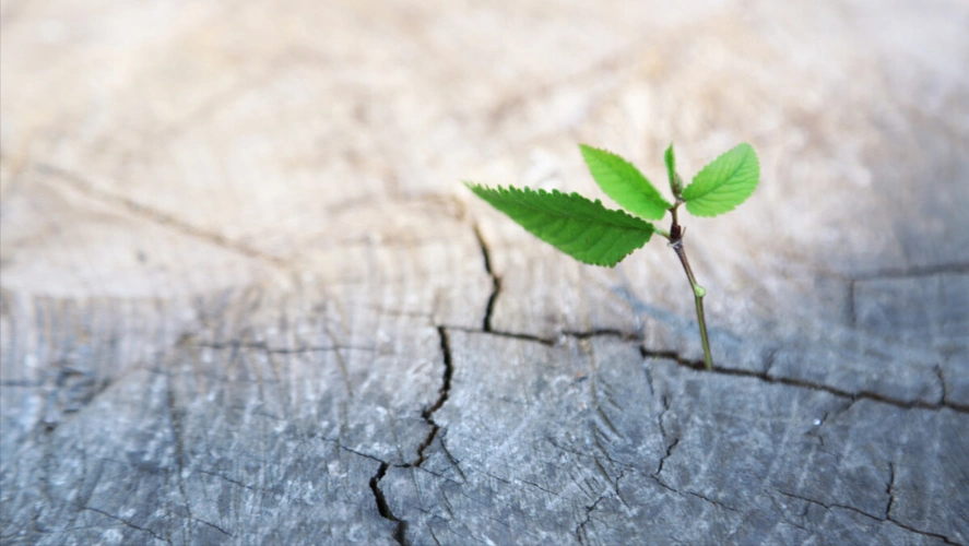 人生落魄的时候,往往是"自我救赎"的好时机