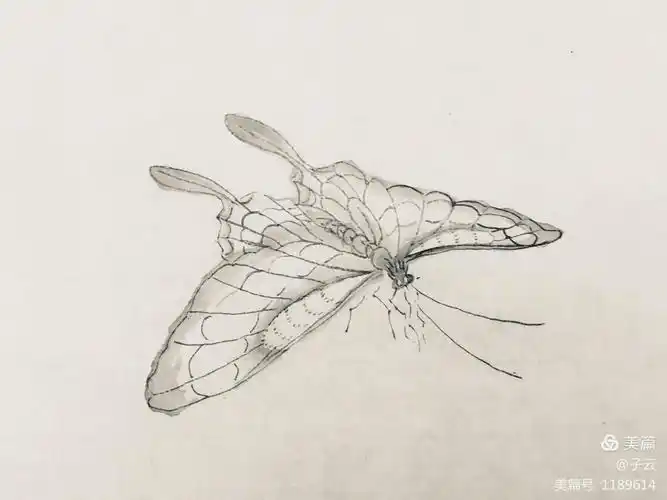 2019下半年工笔画笔记