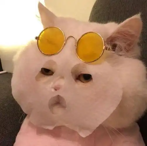 搞笑可爱头像,沙雕头像