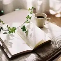 读书图片唯美意境头像【点击鼠标右键下载】