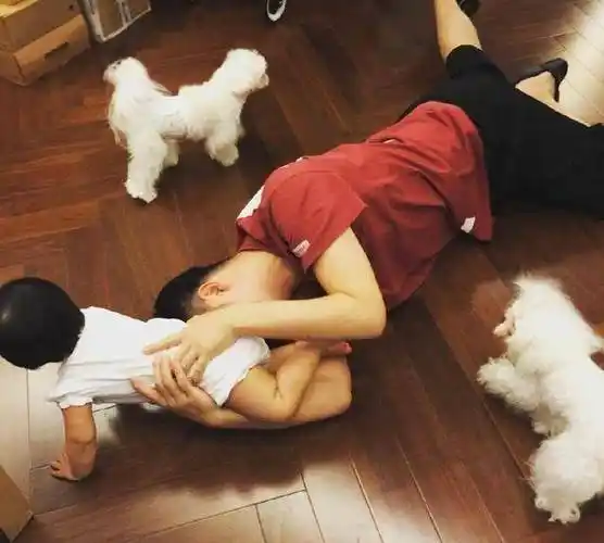 陈赫又晒娃室内游乐区亮了玩具堆成山一细节证明宝宝爱臭美