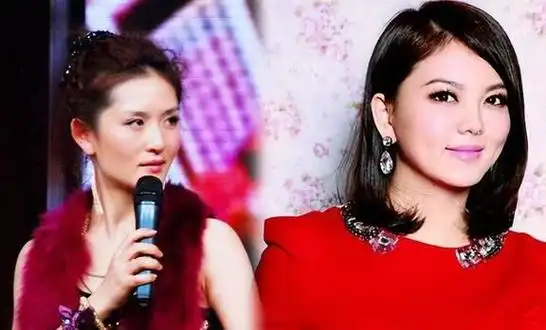 情场得意职场失意湖南一姐谢娜怎么走到如今这个地步