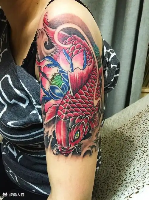 招财锦鲤_纹身图案手稿图片_王涛的纹身作品集