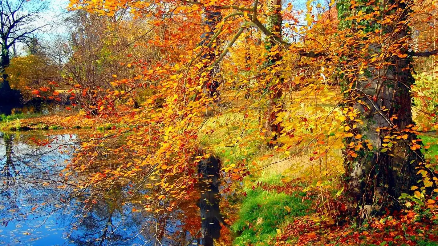 唯美的秋色美景自然风光高清电脑桌面主题壁纸图片(十一)