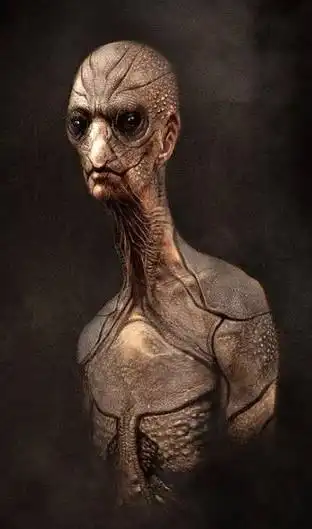 人类心中的外星人形象外星人的恐怖居家照