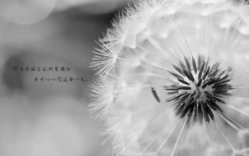 一个人的伤感说说配图