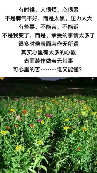 人生感悟 #很现实的一段话 #这个世界上只有时间不会骗人 #时间不