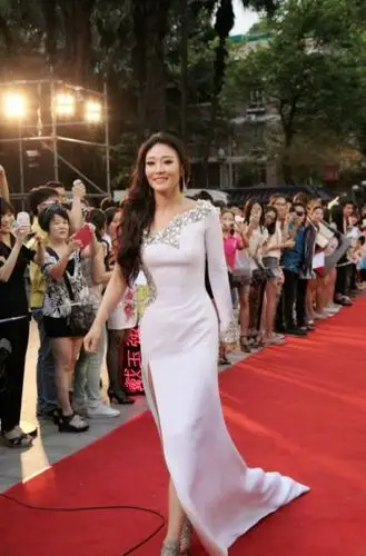 徐千雅《美丽中国》助阵名家名歌演唱会