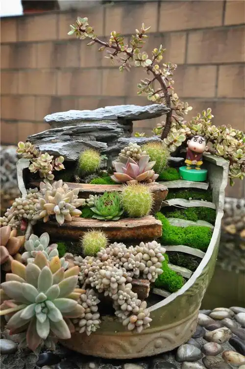 多肉的造景之美