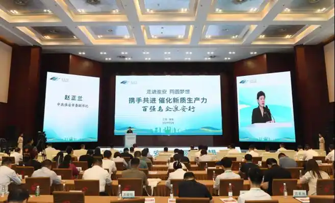 借淮河华商大会平台,淮安从产业配套,营商环境,区位特征等全面展现