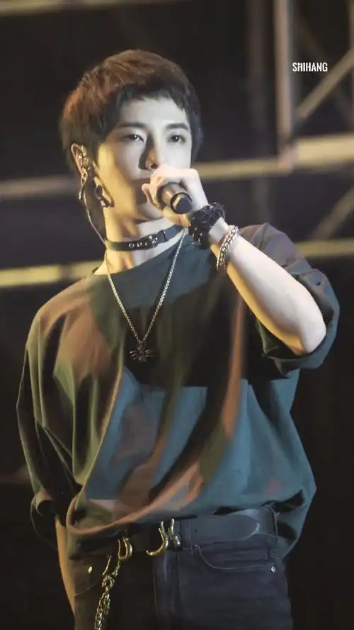 华晨宇2024向阳而生##一天一壳