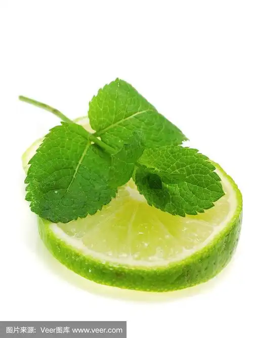 柠檬和薄荷