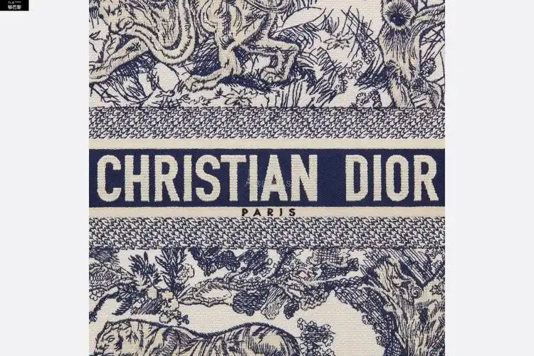 【包邮包税】 dior迪奥 21年春夏 女士 手提包 手袋-蓝色茹伊印花刺绣