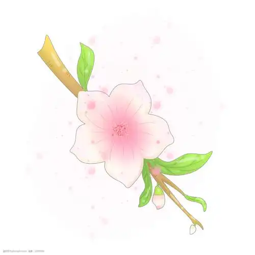 精美桃花装饰插画图片-图行天下图库