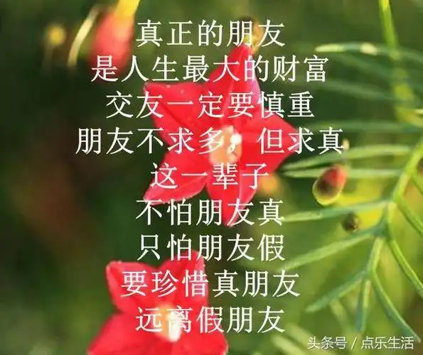真正的朋友,是一生的最大的财富,一定要珍惜(美文)