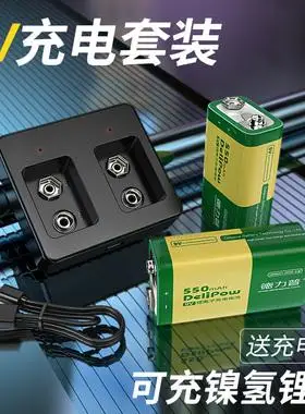 德力普9v充电电池锂电大容量800mah万能万用表吉他话筒充电器话筒安检