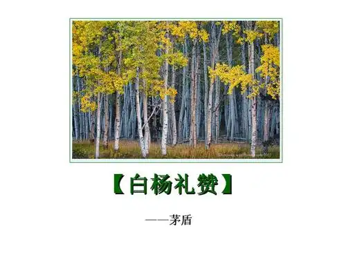 白杨礼赞ppt课件ppt