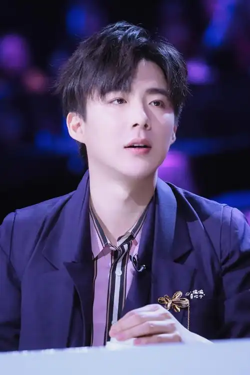 " data-lemmaid="10914841">丹东市 /a>,中国内地流行乐男歌手,影视