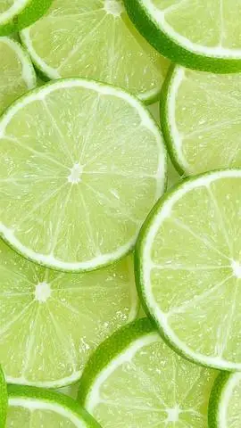 求让眼睛很舒服的简单色调的壁纸