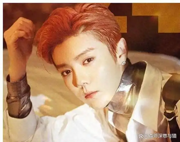 娱乐圈顶流鹿晗私生活曝光狗仔揭秘真相网友热议