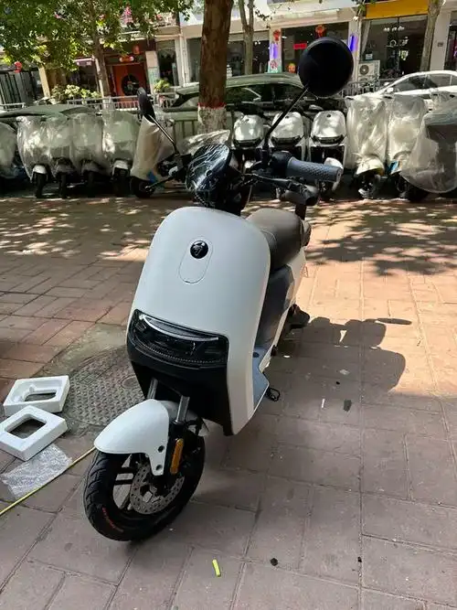 九号电动a2z60新国标亲子电动车