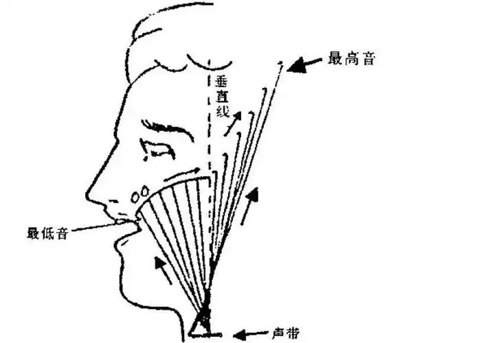 我国三大声乐唱法的异同