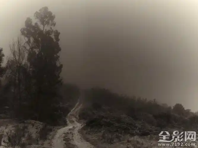 摄影技巧 寂静岭般阴森恐怖的林间小道
