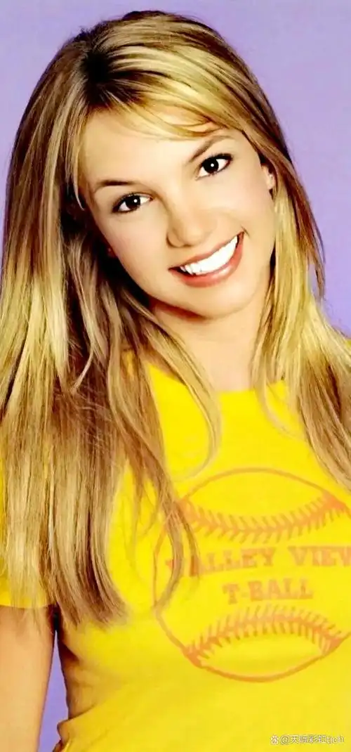 布兰妮斯皮尔斯美国女歌手影视演员