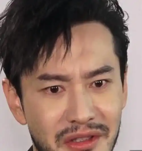 黄晓明留络腮胡男人味十足牙齿上的黑点引人注目