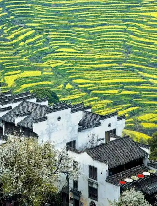 江西婺源:红尘中的水墨诗画,客栈里的时光流转