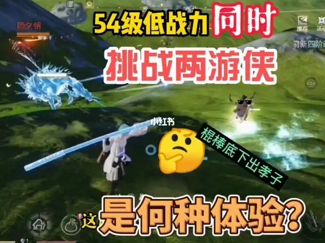 妄想山海低战力同时挑战两游侠是何体验