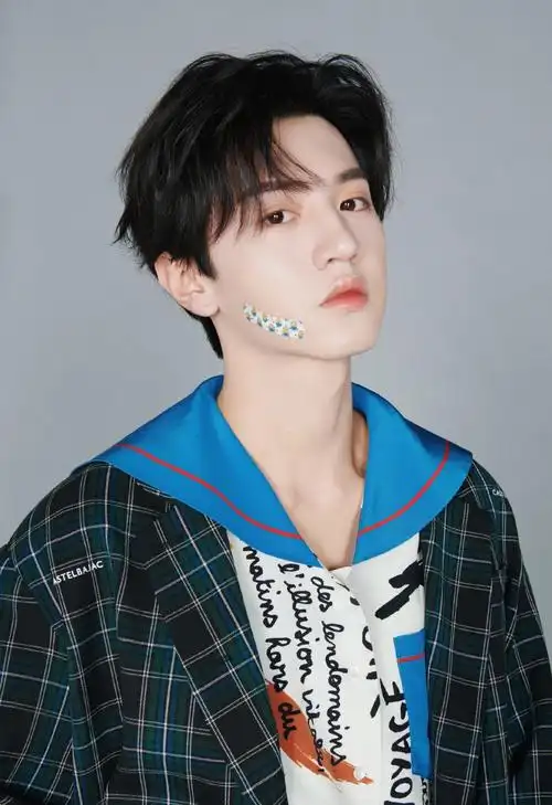 歌手2015年,参加爱奇艺选秀节目《流行之王》晋级加入男团mr