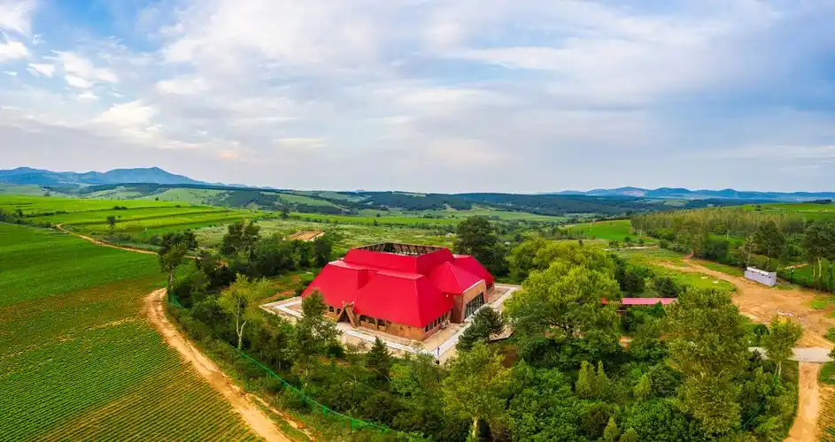 缘起8000年查海遗址传承阜新玉龙文化带您看中华第一龙