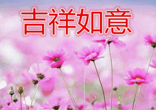 写美篇在这美好的周末里, 愿我的祝福伴随着缕缕花香, 带给你吉祥与