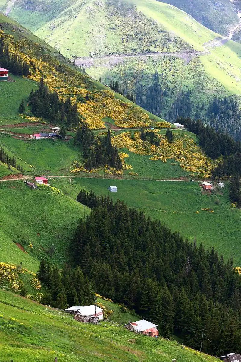 忽然掉入人间的天堂︱喀拉峻 新疆伊犁喀拉峻大草原是典型的山地草甸