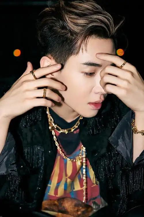 刘宪华个人资料刘宪华简介及图片