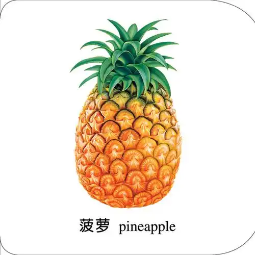 海润阳光 宝宝早教撕不烂纸板书《水果》 0-3岁宝宝 幼儿早教启蒙认知