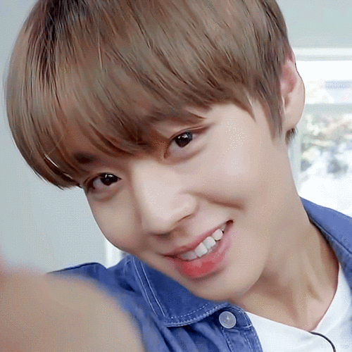 我来安利啦是我最骄傲的儿子 本名:朴志训(park