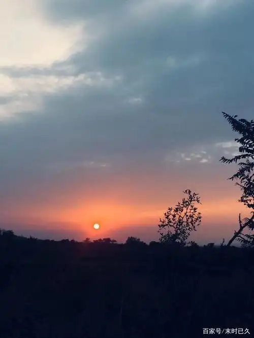 傍晚,漫步蜿蜒的山路,看花开花落,尽享自然风光!