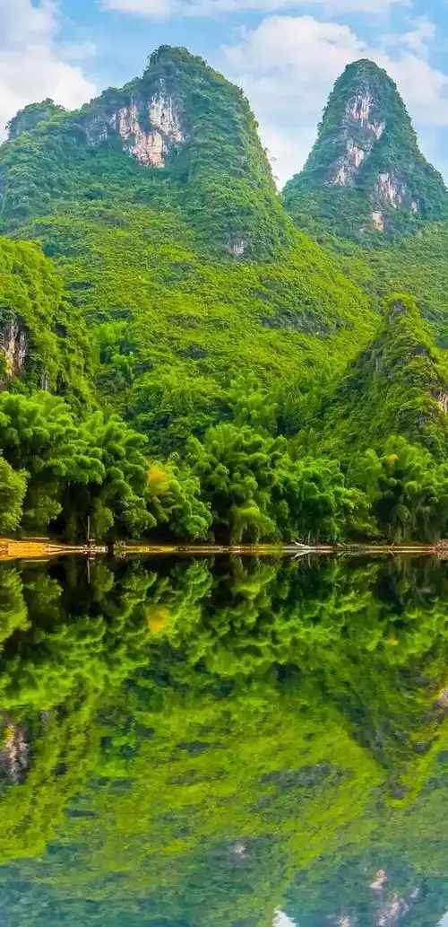 壁纸推荐绿色护眼绿意盎然清新唯美高清无水印