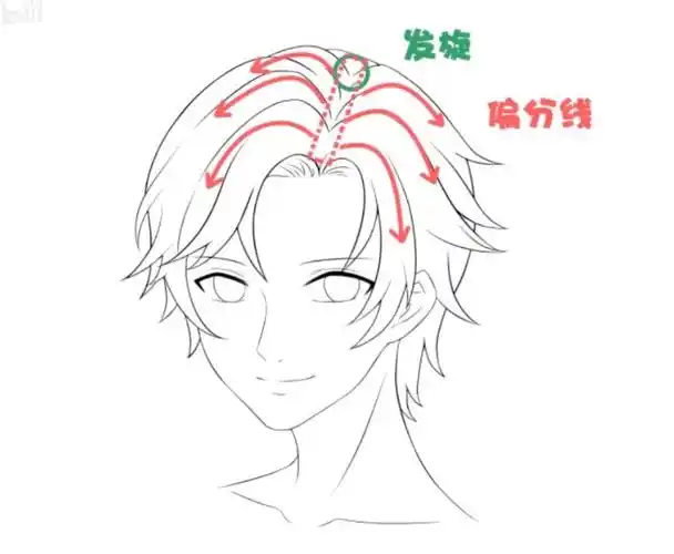 的发型而发际线就处于顶骨至眼睛的中间位置一般呈现为m型或小写的n